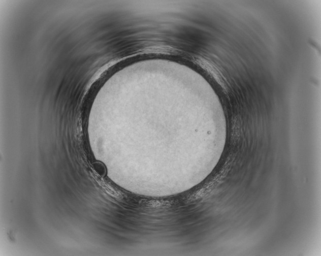 X0000095890923200802081114