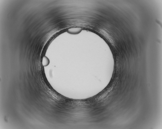 X0000095890924200802081114