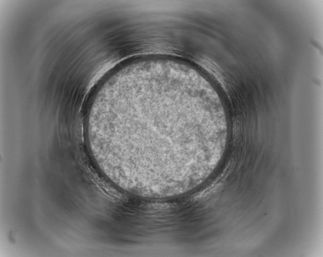 X0000095890925200802081114