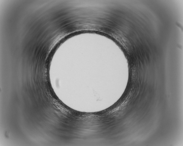 X0000095890926200802081114