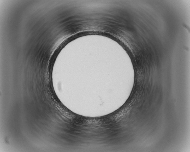X0000095890927200802081114