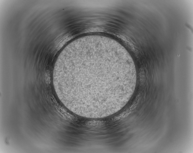 X0000095890929200802081114