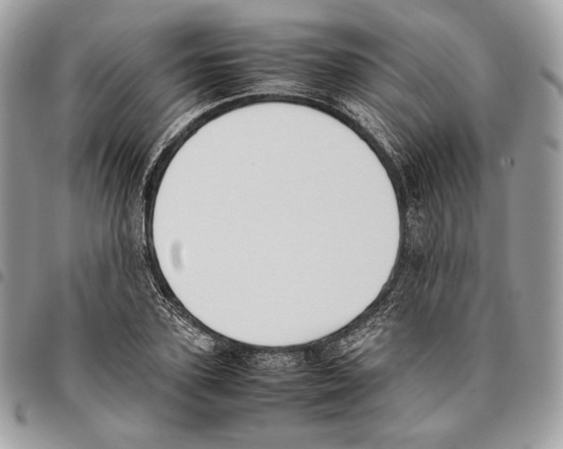 X0000095890931200802081114