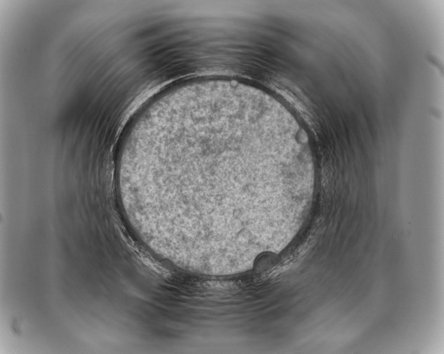X0000095890933200802081114