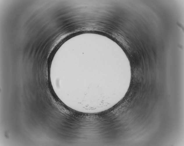 X0000095890934200802081114
