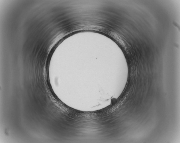 X0000095890936200802081114