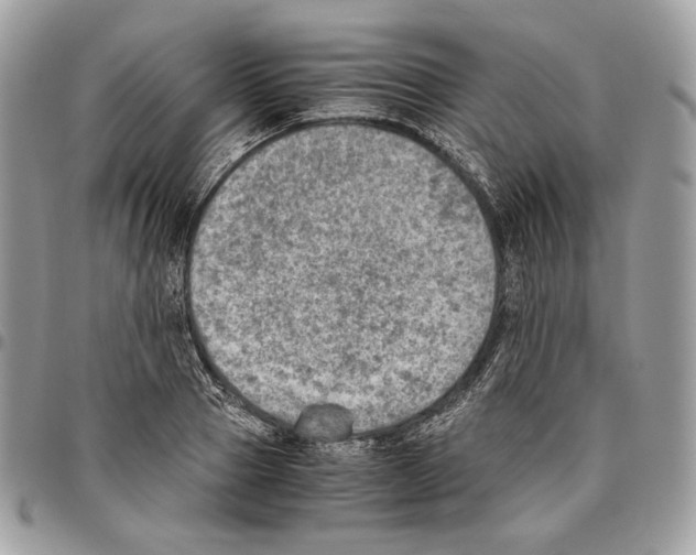 X0000095890937200802081114