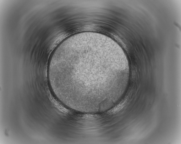 X0000095890938200802081114