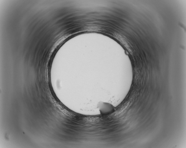 X0000095890939200802081114