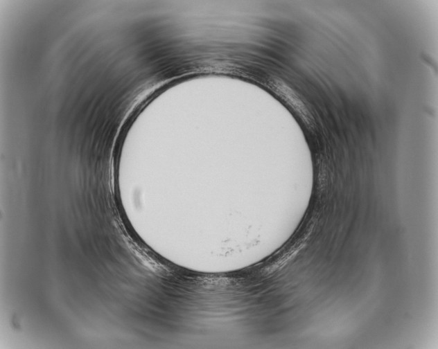 X0000095890940200802081114