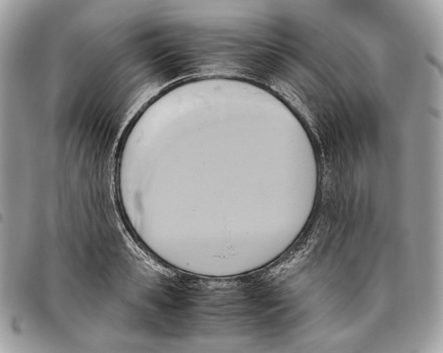 X0000095890941200802081114