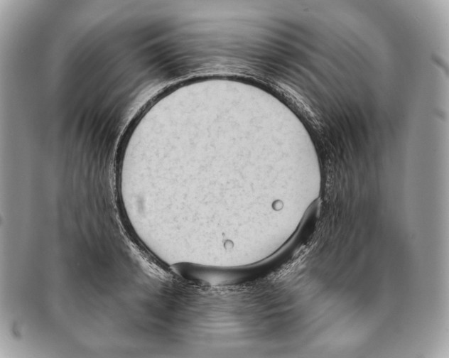 X0000095890942200802081114