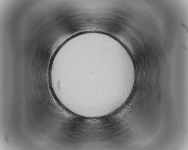 X0000095890943200802081114
