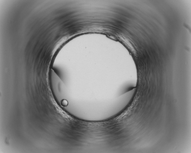 X0000095890944200802081114