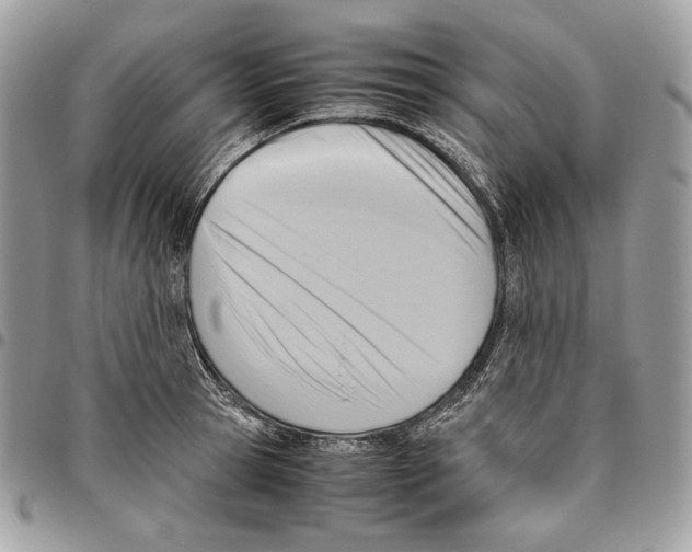 X0000095890945200802081114