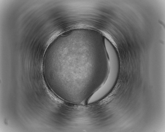 X0000095890946200802081114