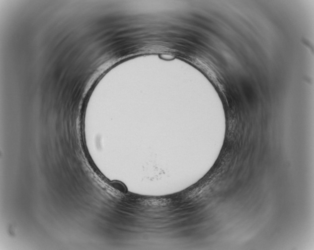 X0000095890947200802081114