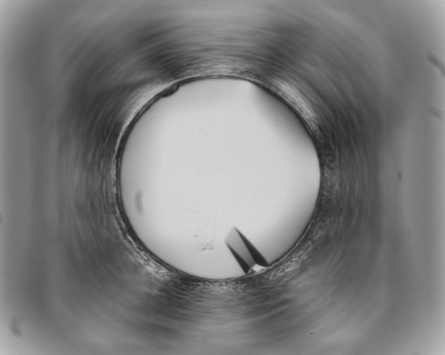 X0000095890948200802081114