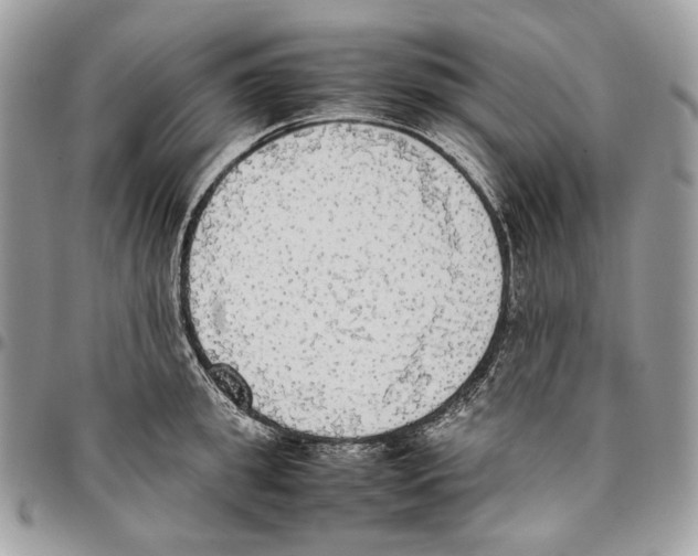 X0000095890949200802081114
