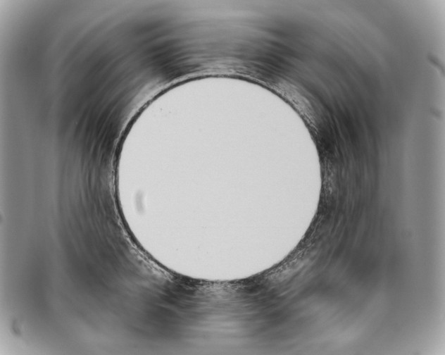 X0000095890950200802081114