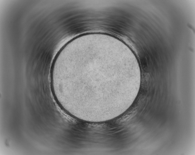 X0000095890951200802081114
