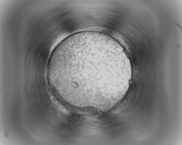 X0000095890952200802081114