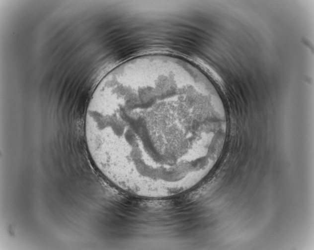X0000095890953200802081114