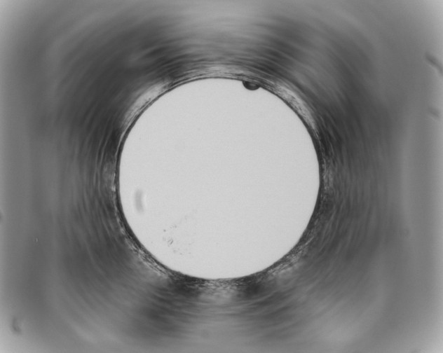 X0000095890954200802081114