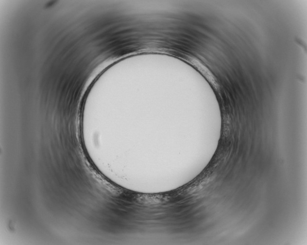 X0000095890955200802081114