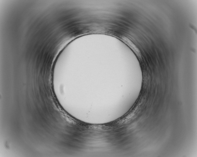 X0000095890956200802081114