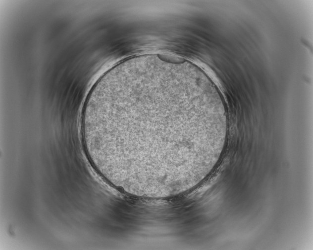 X0000095890957200802081114