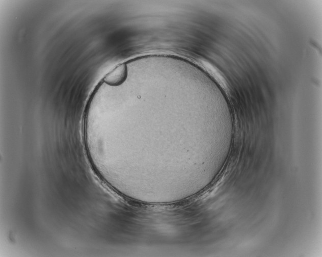 X0000095890958200802081114