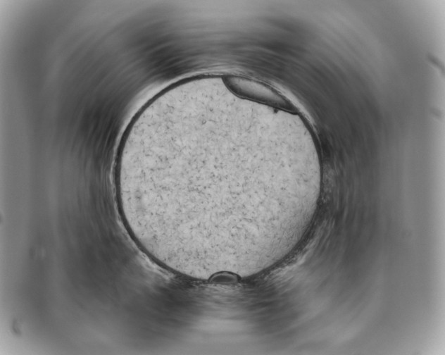 X0000095890959200802081114