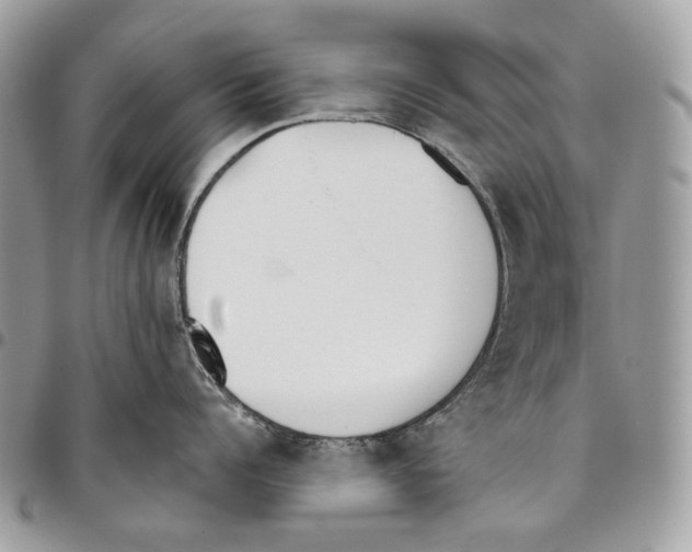 X0000095890960200802081114
