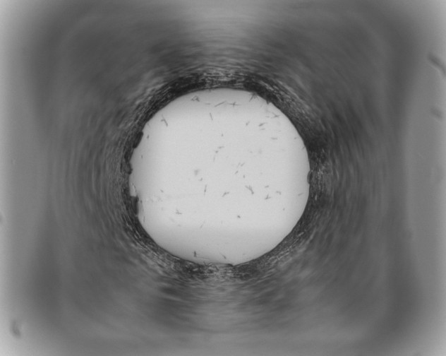 X0000095890961200802081114
