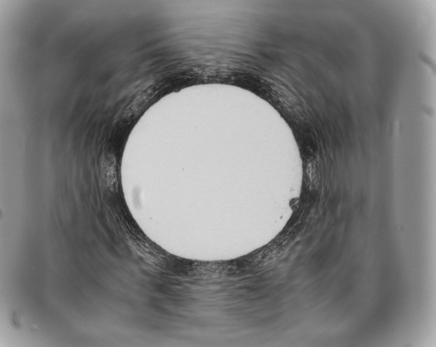 X0000095890963200802081114