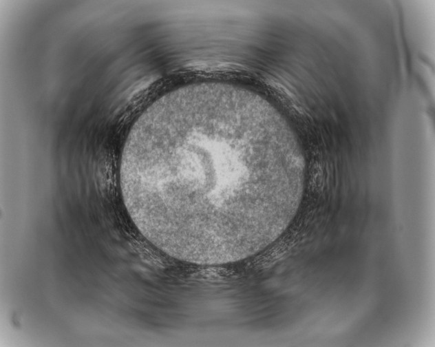X0000095890966200802081114