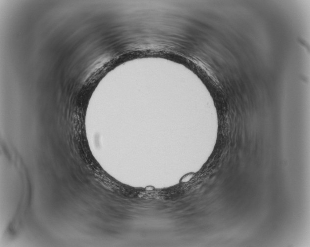 X0000095890967200802081114