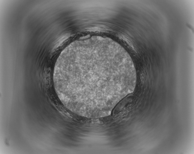 X0000095890968200802081114