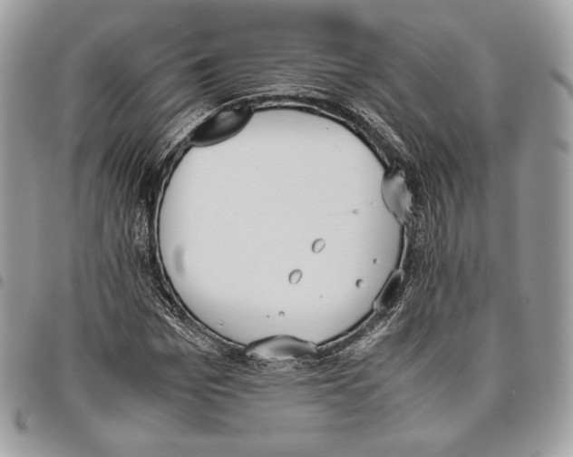 X0000095890969200802081114