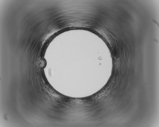X0000095890971200802081114