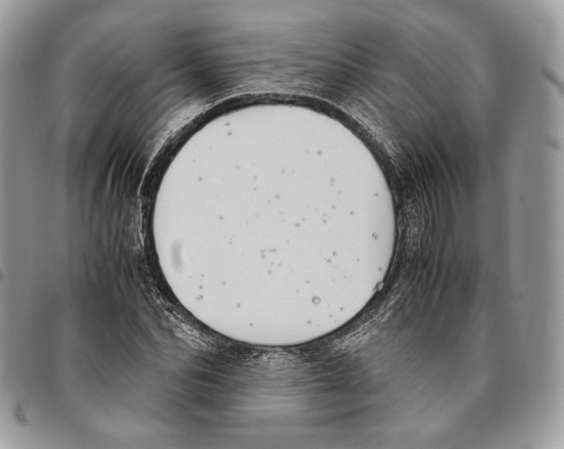 X0000095890974200802081114