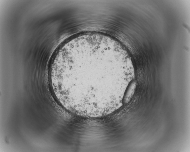 X0000095890976200802081114