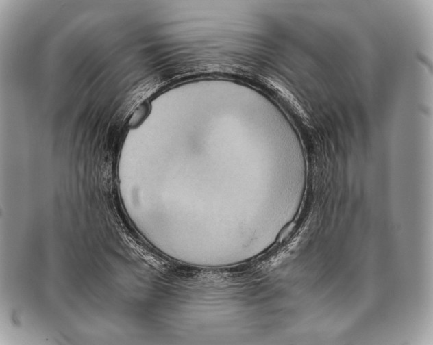 X0000095890977200802081114