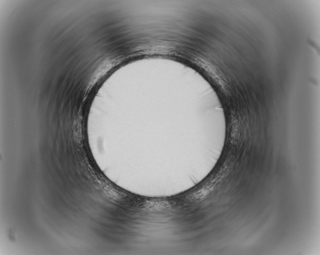 X0000095890978200802081114