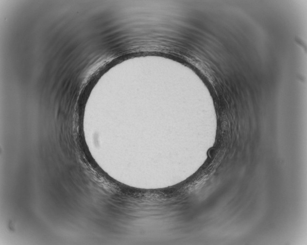 X0000095890979200802081114