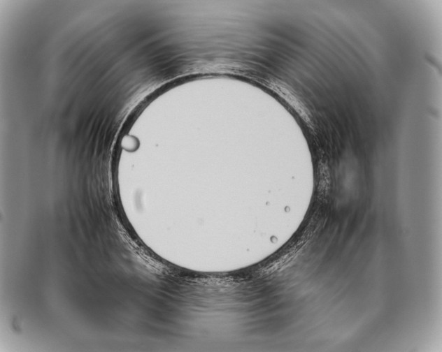 X0000095890980200802081114
