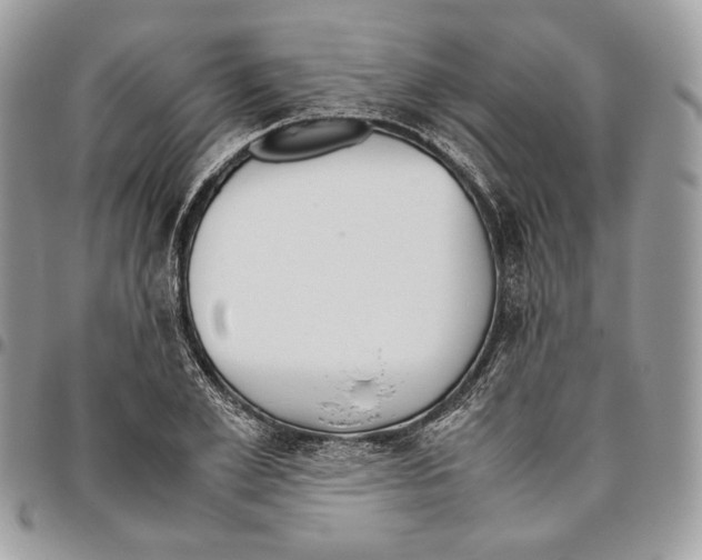 X0000095890981200802081114