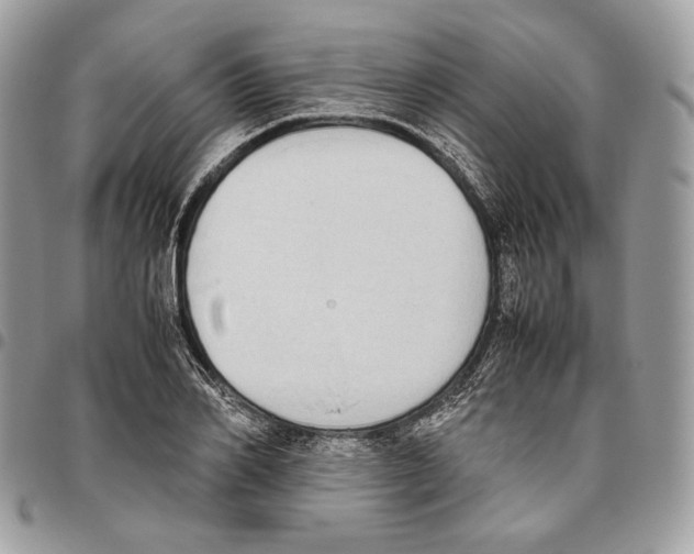 X0000095890982200802081114