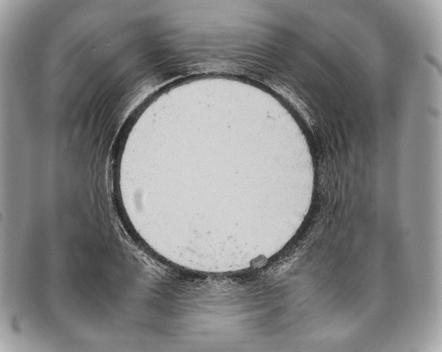 X0000095890983200802081114